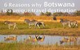 6 REASONS WHY BOTSWANA IS A UNIQUE TRAVEL DESTINATION