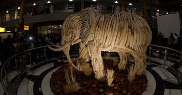 LIFE-SIZE IVORY ELEPHANT SCULPTURE UNVEILED IN BOTSWANA